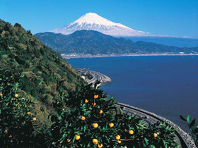 �y�G�[�XJTB�E�������s�z�É��c�A�[�E�É��̗��فE�z�e���\��@